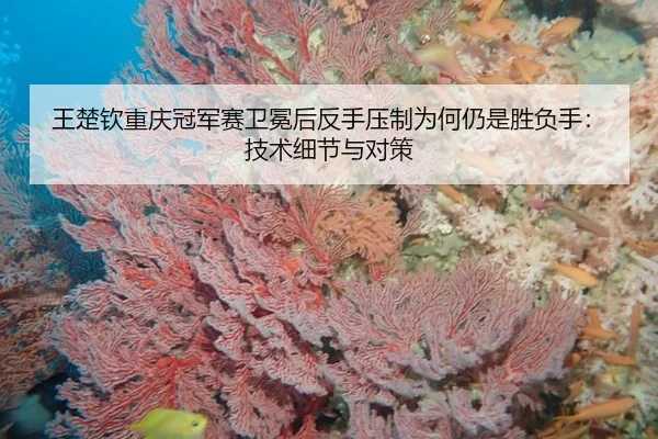 王楚钦重庆冠军赛卫冕后反手压制为何仍是胜负手：技术细节与对策