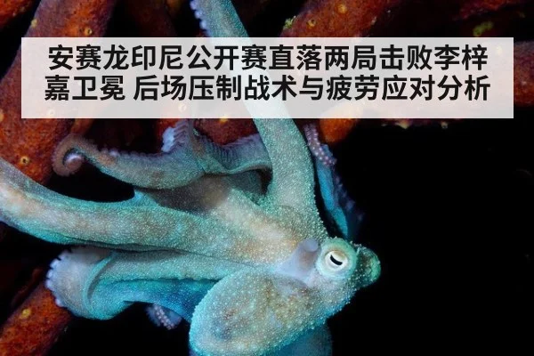 安赛龙印尼公开赛直落两局击败李梓嘉卫冕 后场压制战术与疲劳应对分析